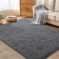 Dark Grey Rugs for Bedroom: 4x6 Fluffy Shag Soft Washable Rug Fuzzy Plush Indoor Carpet for Living Room Kids Girls Boys Room Nursery Dorm (Grey, 4'x6')