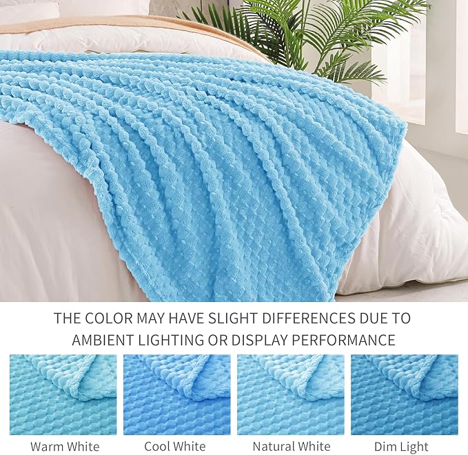 Exclusivo Mezcla Fleece Throw Blanket for Couch, Extra Large Fuzzy Blue Bed Blankets, Soft Cozy Plush Sofa Throws for All Seasons, 50x60 Inches