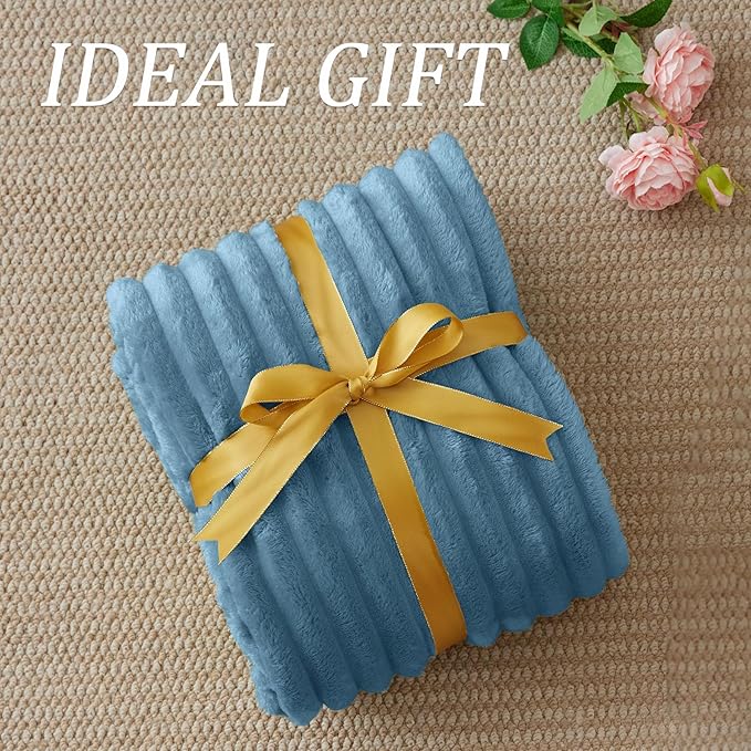 BEDELITE Fleece Throw Blanket for Couch - 300GSM Soft & Warm Fluffy Light Blue Blanket, Decorative and Giftable Striped Blankets for Women, Men, 50"x70"