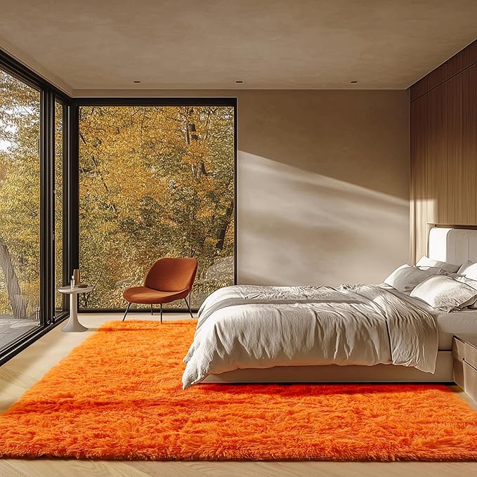 ONASAR Orange Rugs for Living Room Bedroom, 5x8 Fluffy Bedside Area Rug, Soft Plush Shaggy Indoor Floor Carpet for Nursery Kids Girls Boys Teen Dorm Home Office Decor Aesthetic