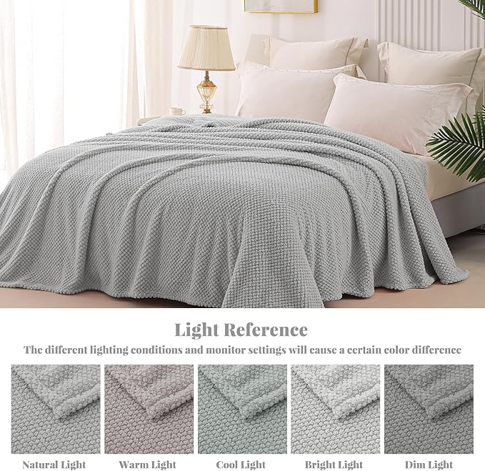 Whale Flotilla Twin Size Fuzzy Fleece Blanket for Bed, 60x80 Inch Fluffy Warm Soft Jacquard Blankets for All Season, Lightweight and Cozy, Light Grey