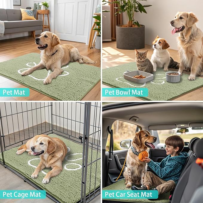 Smiry Dog Door Mat for Muddy Paws, Absorbent Dirt Trapper Non Slip Quick Dry Washable Chenille Mat for Mud Dogs, Entry Rug for Indoor and Outdoor (48x30 Inches, Sage Green and White)