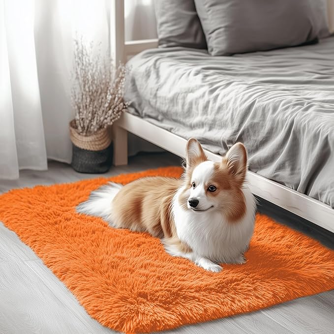 OLANLY 2x3 Machine Washable Small Bedside Rug, Soft Fluffy Shaggy Entryway Throw Rugs for Bedroom, Living Room, Indoor Floor Carpet for Kids Girls and Boys, Nursery Rooms, Home Decor Aesthetic, Orange