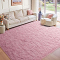6x9 Ft Large Pink Rugs for Living Room Girls, Shag Fluffy Area Rug for Bedroom, Ultra Soft Furry Rug Indoor Carpet for Kids Room Nursery Home Decor