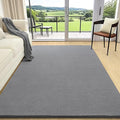 AROGAN 4x6 Feet Shag Area Rugs for Bedroom, Modern Washable Rugs for Living Room, Indoor Floor Carpet, Plush Memory Foam Bedside Rugs for Kids Girls Teens Room Low Pile Rug Decor, Grey