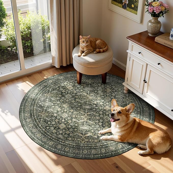 Lofus 4ft Area Rugs for Living Room, Green Washable Area Rug with Non-Slip Backing,Soft Boho Carpets for Bedroom Dining Room Home Office Indoor Nursery