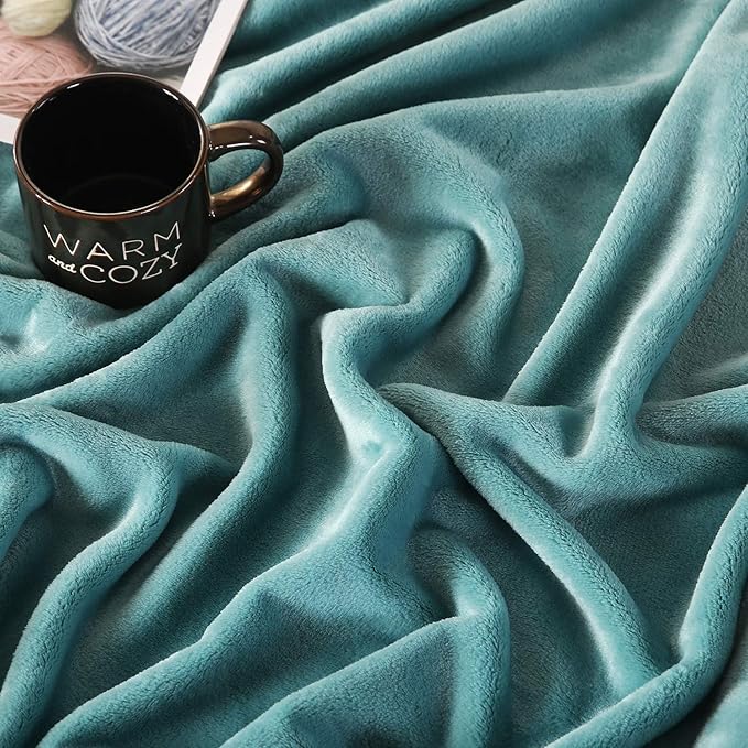 TASTHROW Large Flannel Fleece Throw Blanket, 60×80 Inch - Cozy Lightweight Thick Blanket - All Seasons Suitable for Women, Men and Kids (Bluishgreen)