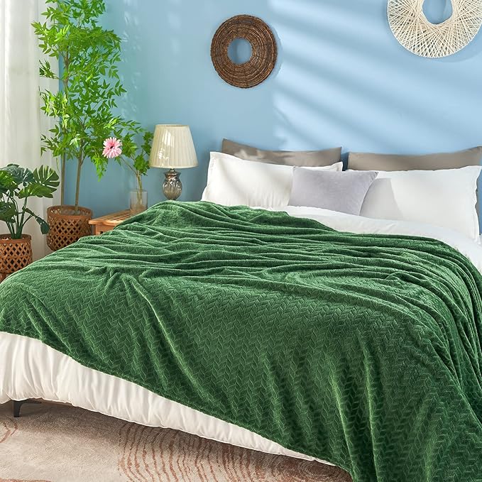 inhand Fleece Queen Blanket for Bed, Super Soft Flannel Cozy Queen Bed Blanket for Adults, Washable Lightweight Fuzzy Bed Blanket for Office, Warm Plush Blankets for All Season (90"×90", Green)