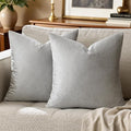 GIGIZAZA Velvet Silver Grey Pillow Covers 20x20 Set of 2 Square Throw Pillow Covers Modern Decorative Pillows for Living Room Couch Luxury Big Pillow Cases