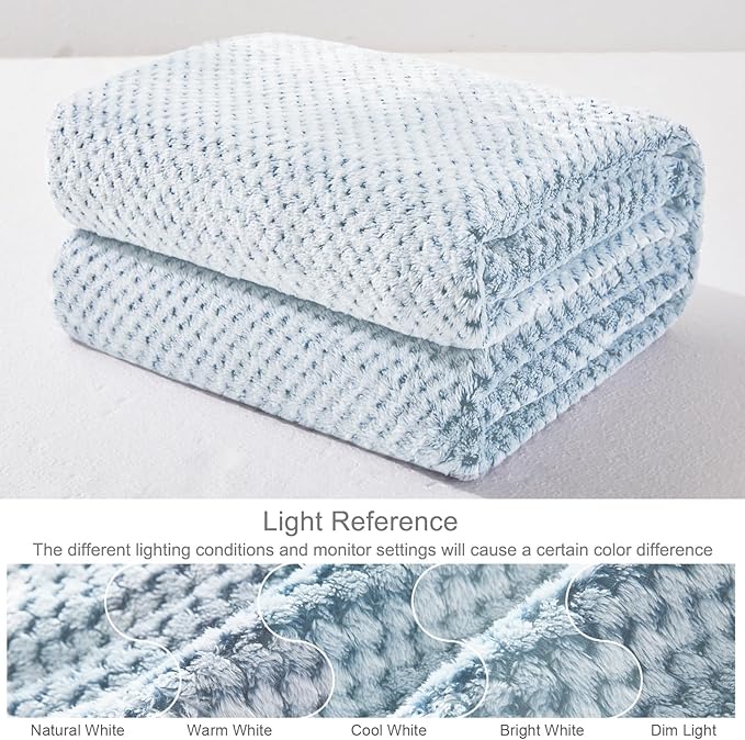 Exclusivo Mezcla Fleece Bed Blanket Queen Size, Super Soft and Warm Blankets for Couch, Sofa and Bed Waffle Textured, Cozy, Fuzzy and Lightweight (Heather Slate Blue, 90x90 Inches)