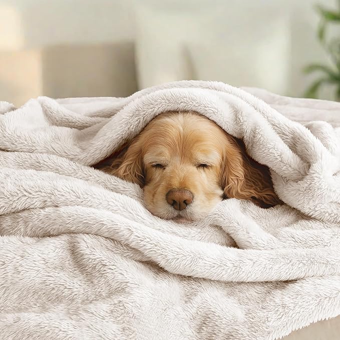 Exclusivo Mezcla Plush Fuzzy Fleece Bed Blanket Queen Size, Super Soft, Fluffy and Warm Blankets for Couch, Bed, All Season (Beige, 90x90 inches)