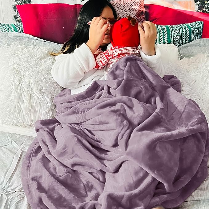 Bedsure GentleSoft Fleece Bed Blankets Queen Size Fog Purple - Soft Lightweight Plush Fuzzy Cozy Luxury Blanket Microfiber, 90x90 inches