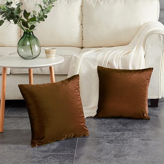 GIGIZAZA Decorative Throw Pillow Covers Set of 2,22 x 22 Chocolate Couch Pillow Covers,Velvet Square Cushion Covers