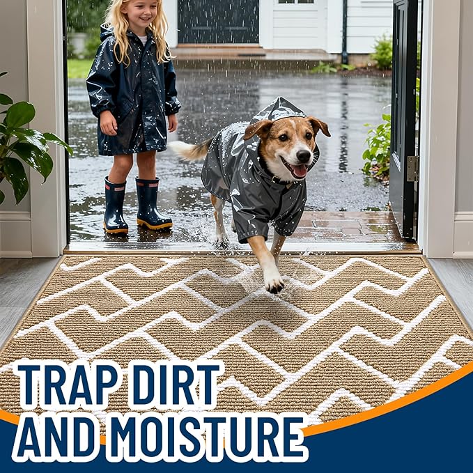 OLANLY Front Door Mat, Non-Slip Rubber Backing, Dirt Resistant and Absorbent, Washable, Easy to Clean Low-Profile Indoor Doormat for Back Door, Entryway, Inside Entrance, 48x32, Beige