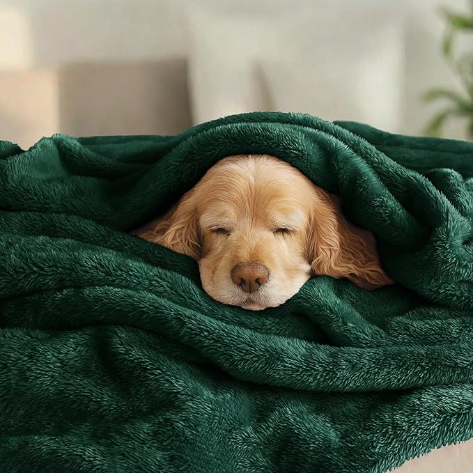Exclusivo Mezcla Plush Fuzzy Fleece Bed Blanket King Size, Super Soft, Fluffy and Warm Blankets for Couch, Bed, All Season (Forest Green, 90x104 inches)