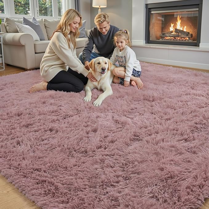 Rugs for Living Room 6x9, Alfombras para Salas Shag Large Plush Soft Area Rug, Shaggy Carpets for Bedroom, Kids Boys Girls Home Decor Aesthetic(Blush, 6 x 9)