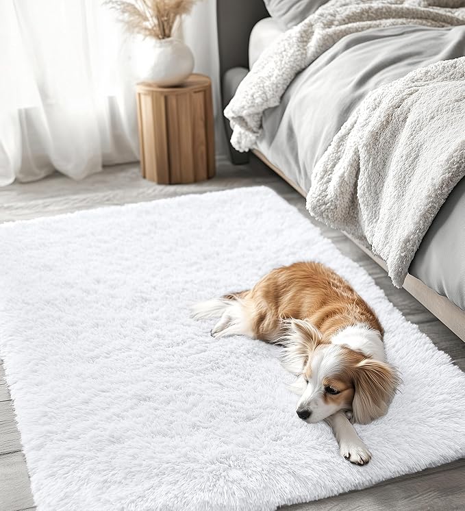OLANLY 3x4 Machine Washable Accent Rug, Soft Fluffy Shaggy Area Rug for Bedroom, Living Room, Indoor Floor Carpet for Kids, Nursery, Home Decor, White