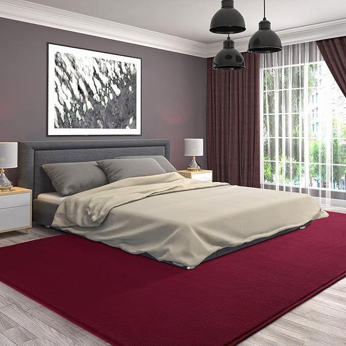 AROGAN Modern Shag Area Rug for Bedroom, 4x6 Feet Washable Rugs for Living Room, Indoor Floor Carpet Rugs, Plush Memory Foam Bedside for Kids Girls Teens Room Low Pile Rug Decor, Wine Red