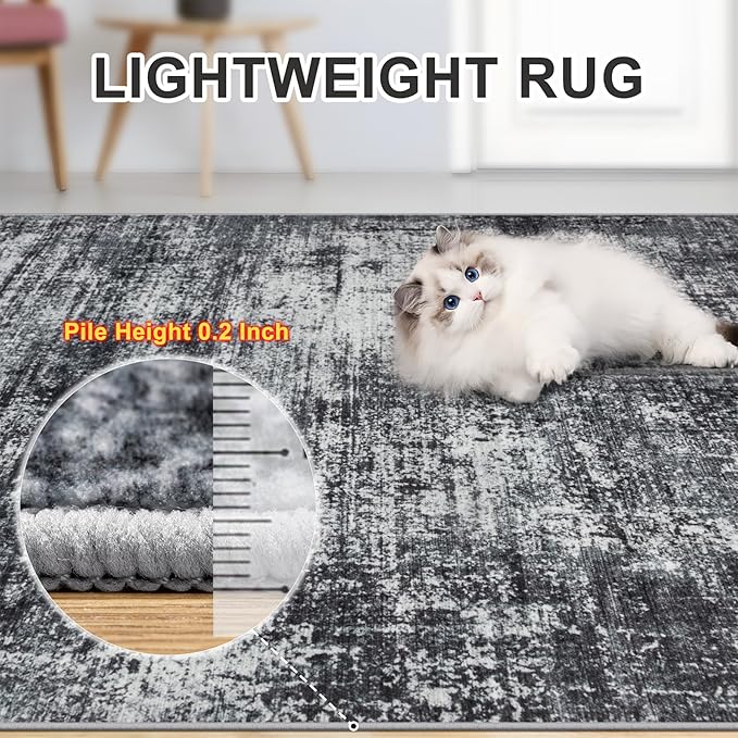 6x9 Area Rugs for Living Room - Washable Rug Modern Abstract Soft Large Neutral Non-Slip Carpet Indoor Floor Thin Carpets for Bedroom Dining Room Farmhouse Nursery Home Office Dark Black