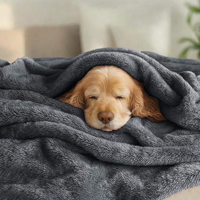 Exclusivo Mezcla Plush Fuzzy Fleece Bed Blanket Twin Size, Super Soft, Fluffy and Warm Blankets for Couch, Bed, All Season (Dark Grey, 90x66 inches)