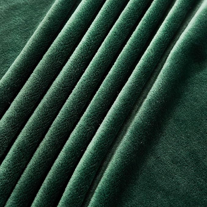 TASTHROW Large Flannel Fleece Throw Blanket, 50×70 Inch - Cozy Lightweight Thick Blanket - All Seasons Suitable for Women, Men and Kids (Two Pack, DarkGreen)