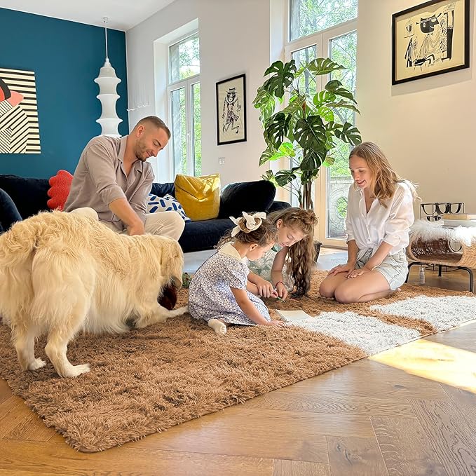 OLANLY 5x8 Machine Washable Large Area Rugs for Living Room, Bedroom, Soft Fluffy Shaggy Bedside Rug, Indoor Floor Carpet for Kids Girls and Boys, Dorms, Nursery, Home Decor Aesthetic, Khaki