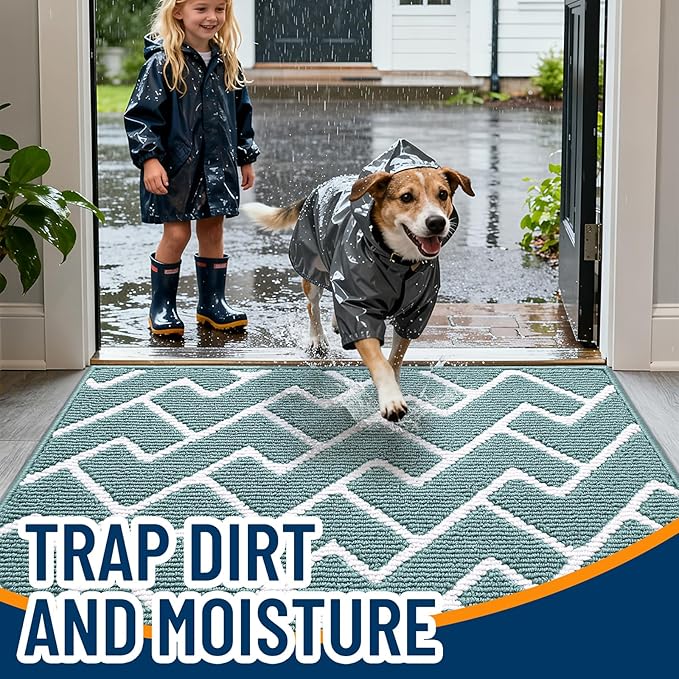 OLANLY Front Door Mat, Non-Slip Rubber Backing, Dirt Resistant and Absorbent, Washable, Easy to Clean Low-Profile Indoor Doormat for Back Door, Entryway, Inside Entrance, 48x32, Sage Green