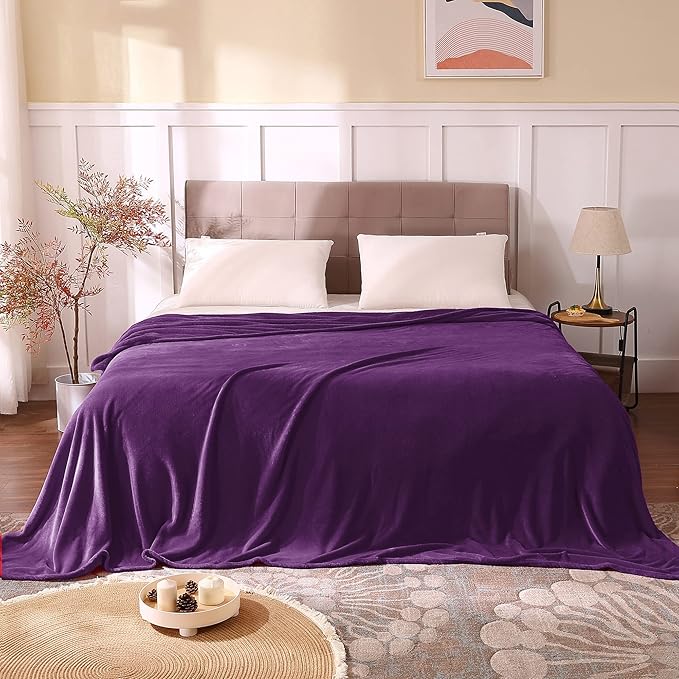 BEDELITE Fleece Blankets Queen Size Purple Throw Blankets for Bed, Luxury Plush Cozy Fuzzy Blanket 90x90 inches, Super Soft Warm Lightweight Throw Blanket All Seasons Suitable