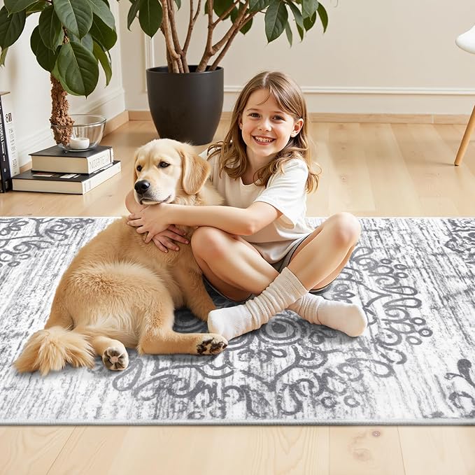 HEBE Washable Area Rug - 3'x6' Non Slip Soft Distressed Medallion Bedroom & Living Room Accent Throw Vintage Entry Floor Carpet for Dining Room & Bathroom Entryway