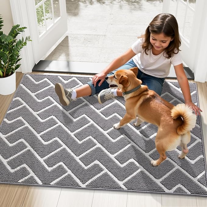 OLANLY Front Door Mat, Non-Slip Rubber Backing, Dirt Resistant and Absorbent, Washable, Easy to Clean Low-Profile Indoor Doormat for Back Door, Entryway, Inside Entrance, 59x35, Grey