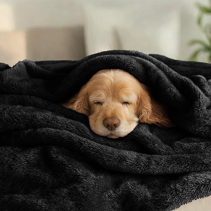 Exclusivo Mezcla Plush Fuzzy Fleece Bed Blanket Queen Size, Super Soft, Fluffy and Warm Blankets for Couch, Bed, All Season (Black, 90x90 inches)
