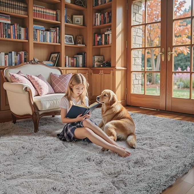 8x10 Area Rugs for Living Room Bedroom Rug, Large Shaggy Soft Plush Furry Bedside Rug, Area Rugs for Home Decor (Light Grey, 8x10 Feet)