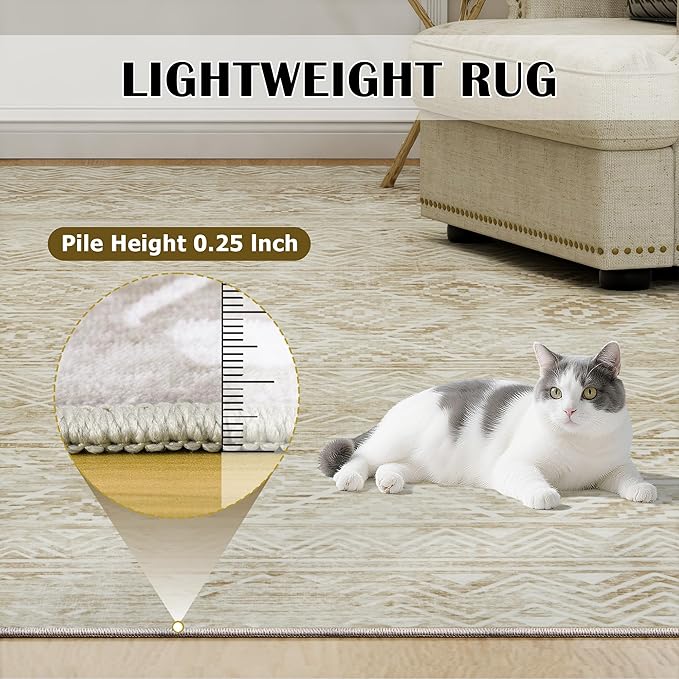 6x9 Area Rugs Washable Rug: Anti-Skid Abstract Modern Living Room Rug Soft Thin Carpets Indoor Floor Non-Shedding Carpet for Bedroom Dining Farmhouse Nursery Home Office (Beige/Light Brown, 6'x9')