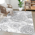 HEBE Washable Area Rug - 3'x5' Non Slip Soft Distressed Medallion Bedroom & Living Room Accent Throw Vintage Entry Floor Carpet for Dining Room & Bathroom Entryway
