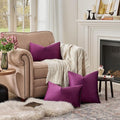 Purple Lumbar Velvet Decorative Throw Pillow Covers (12x20)