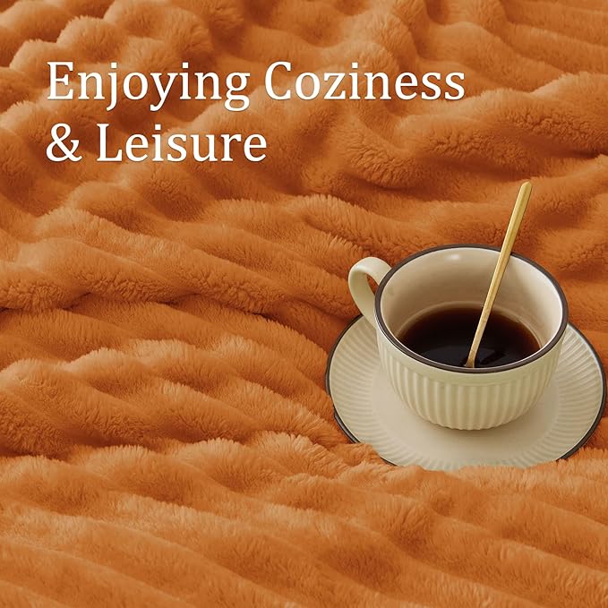 BEDELITE Twin Blanket for Couch & Bed, 300GSM Soft & Warm Fleece Blanket, Decorative and Giftable Striped Burnt Orange Blankets for Women, Men, 60"x80"