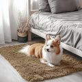 OLANLY 2x3 Machine Washable Small Bedside Rug, Soft Fluffy Shaggy Entryway Throw Rugs for Bedroom, Living Room, Indoor Floor Carpet for Kids Girls and Boys, Home Decor Aesthetic, Taupe