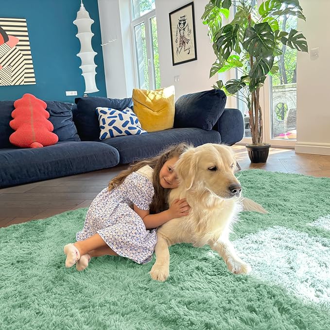 OLANLY 5x7 Machine Washable Large Area Rugs for Living Room, Bedroom, Soft Fluffy Shaggy Bedside Rug, Indoor Floor Carpet for Kids Girls and Boys, Dorms, Nursery, Home Decor Aesthetic, Mint Green