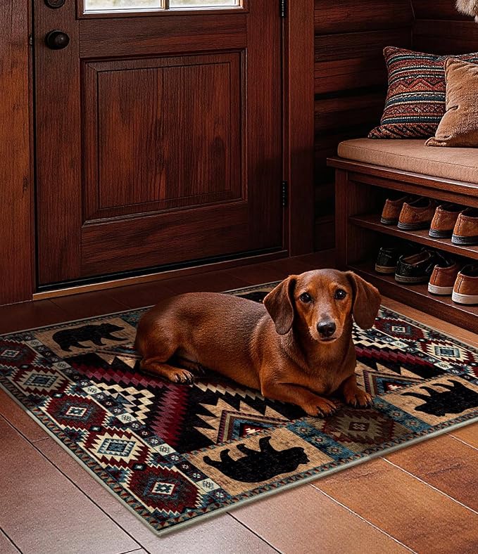 YIHOUSE Western Entryway Rug, 2x3 Rustic Washable Rug, Non-Slip Indoor Door Mat Ultra-Thin for Kitchen, Mudroom, Laundry Room, Bedroom Entry