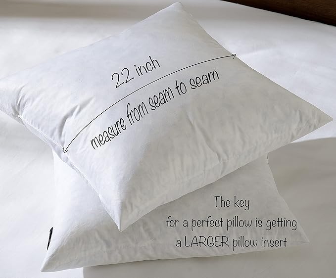 Pillow Inserts - 22x22 White Feather Throw Pillow Inserts, Set of 2