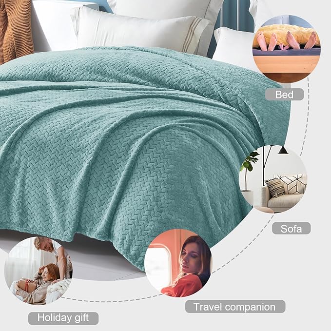 Exclusivo Mezcla Fleece Queen Size Blanket for Bed, 90x90 Inches Soft Cozy Jacquard Flannel Blankets, Lightweight Fuzzy Plush Warm for Women, Celadon