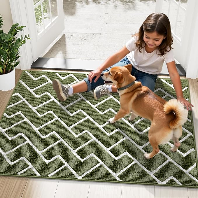 OLANLY Front Door Mat, Non-Slip Rubber Backing, Dirt Resistant and Absorbent, Washable, Easy to Clean Low-Profile Indoor Doormat for Back Door, Entryway, Inside Entrance, 32x20, Green