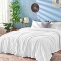 inhand White Fleece Queen Blanket for Bed, Super Soft Flannel Cozy Blankets for Office,Travel, Warm Plush Blankets for All Season, 90 x 90 Inches
