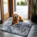 2x3 Fluffy Area Rugs for Bedroom Living Room,Small Soft Shag Fuzzy Rug Non-Shedding Indoor Plush Carpet for Kids Bedroom Nursery Dorm Home Decor,Tie-Dyed Black