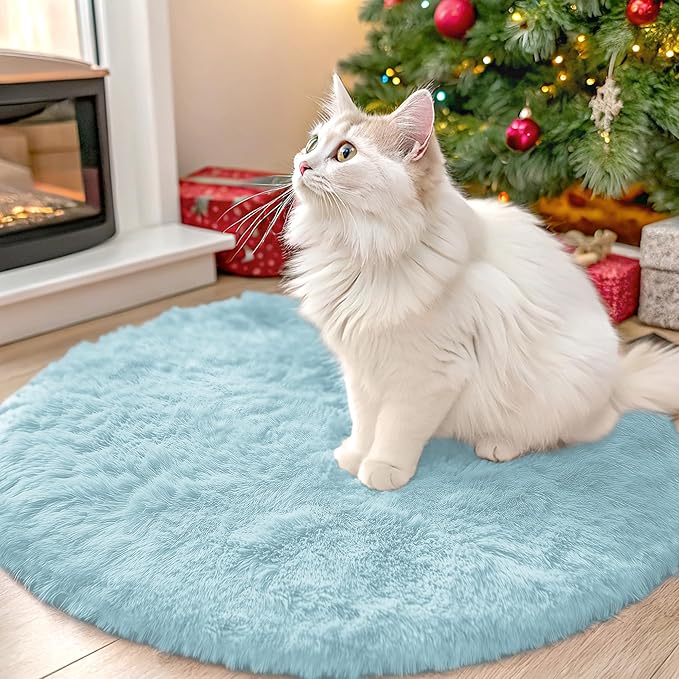 OLANLY Light Blue Round Rugs for Bedroom - Machine Washable, 2 ft Circle Area Rugs for Living Room, Soft and Fluffy Shaggy Carpet for Teen Girl and Boys, Nursery Rooms, Dorms, Home Decor Aesthetic