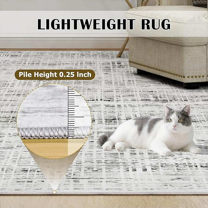5x7 Area Rugs Washable Rug: Anti-Skid Abstract Modern Living Room Rug Soft Thin Carpets Indoor Floor Non-Shedding Carpet for Bedroom Dining Farmhouse Nursery Home Office (White Gray, 5'x7')