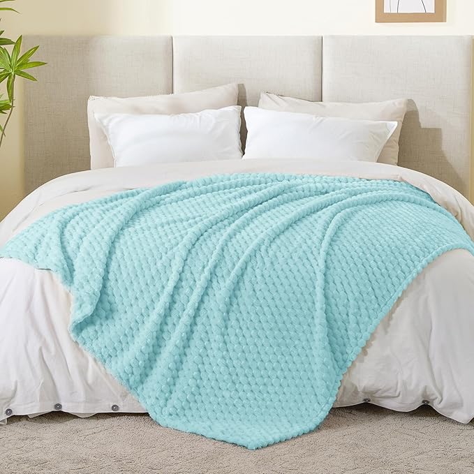 BEDELITE Fleece Blanket - 3D Jacquard Decorative Cloud Blue Throw Blankets for Couch & Bed, Soft and Cozy Warm Plush Fluffy Blanket All Seasons Suitable, 50x60Inches