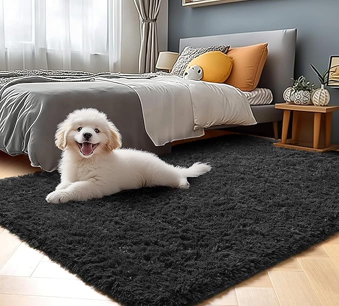 ONASAR Black Rugs for Bedroom, 3x5 Fluffy Bedside Small Area Rug, Soft Plush Fuzzy Shaggy Indoor Floor Carpet for Living Room Nursery College Dorm Teen Kids Girls Boys Home Decor Aesthetic