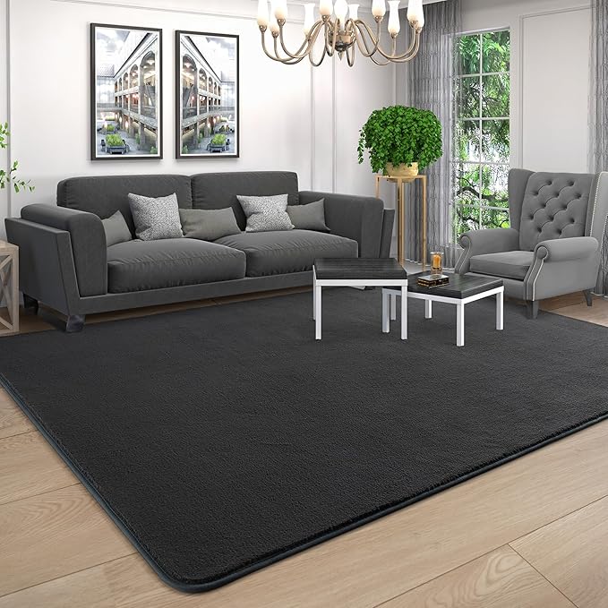 AROGAN Modern Shag Area Rug for Bedroom, 4x6 Feet Washable Rugs for Living Room, Indoor Floor Carpet, Plush Memory Foam Bedside Rugs for Kids Girls Teens Room Low Pile, Dark Grey