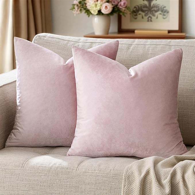 GIGIZAZA Decor Throw Couch Pillow Covers,Set of 2 Sweet Lilac Sofa Cushion Pillow Covers,Velvet Pillow Cases 24x24inch
